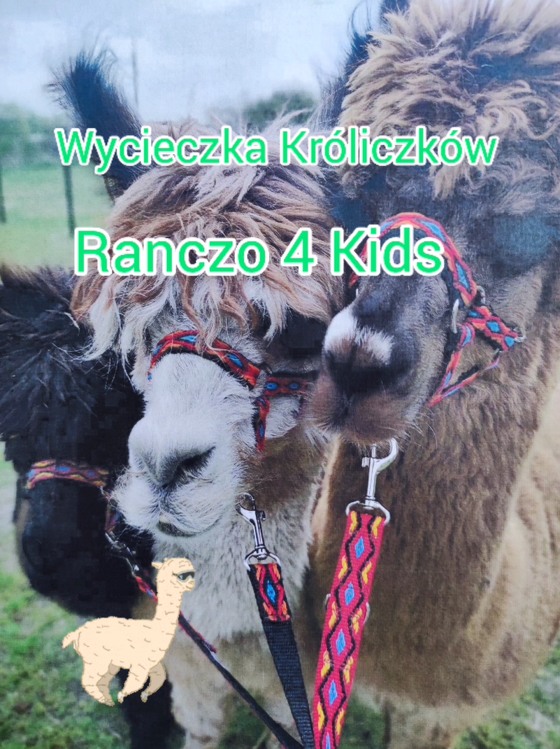 Wycieczka Króliczków – Rancho 4 Kids