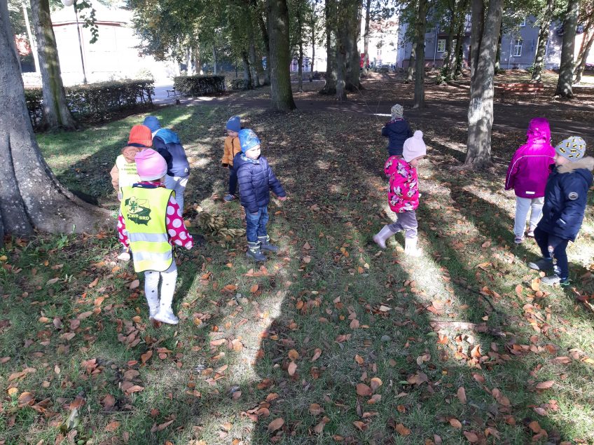 Króliczki – Zbieramy dary jesieni, wyjście do parku