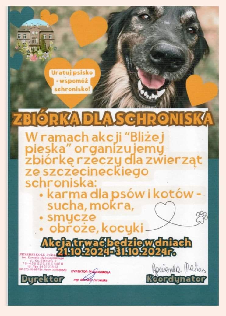 Uratuj psisko – wspomóż Schronisko dla zwierząt w Szczecinku 🐾🐾🐾🐾🐶